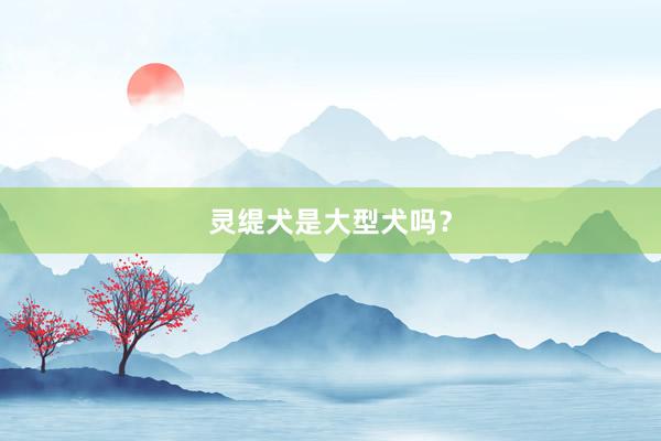 灵缇犬是大型犬吗?