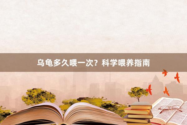 乌龟多久喂一次？科学喂养指南